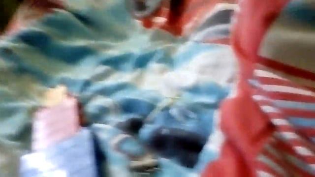 Приключения насекомых. смотреть онлайн