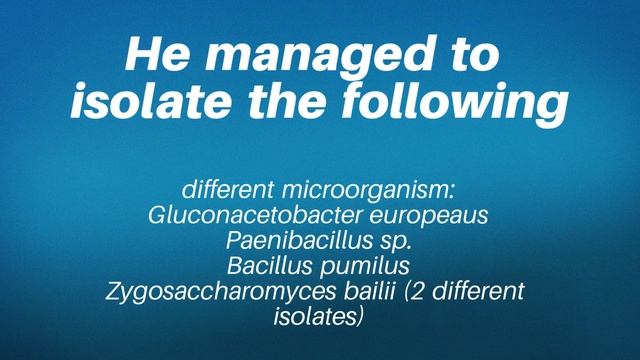 The Medis Part 1 (blue)