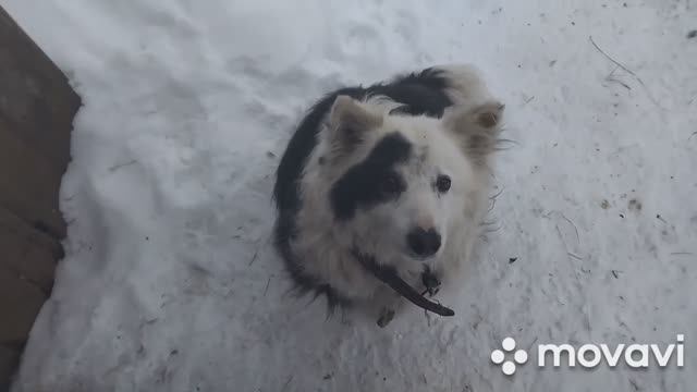 НЕОЖИДАННО, НО СЮРПРИЗ ЗА СЮРПРИЗОМ!!!!