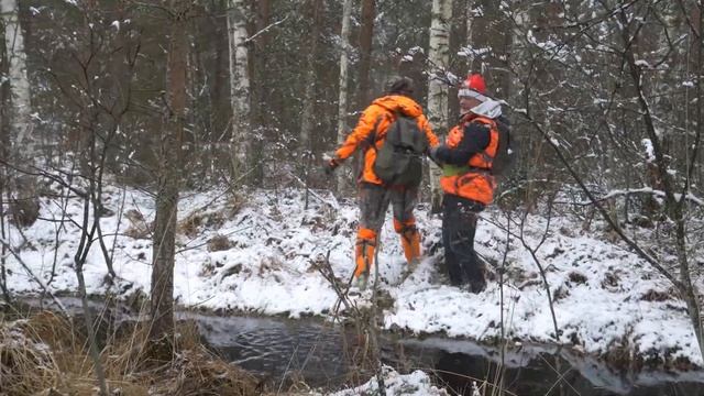 Поиски Влада Бахова, 29.01.20. Лес, прочёс, каналы. ПСО Сальвар.