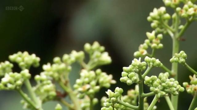 Omar Faruk Tekbilek - Long wait смотреть онлайн