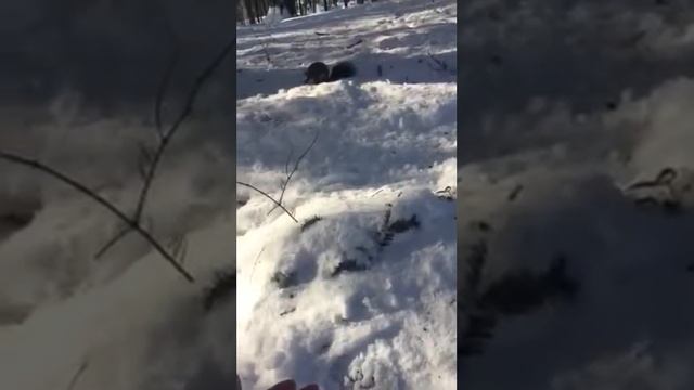 Трускавец 2018 смотреть онлайн