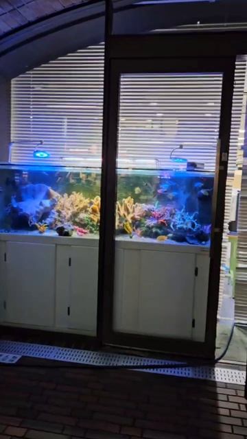 Если любишь Старбакс, то должен увидеть этот... смотреть онлайн