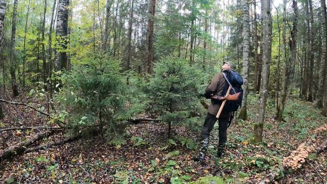 НА ГЛУХАРЯ/МОРЕ ОПЯТ