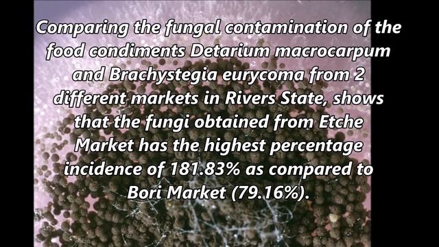 Food Condiment Series 1: Fungal Contamination of Two Food Condiments смотреть онлайн