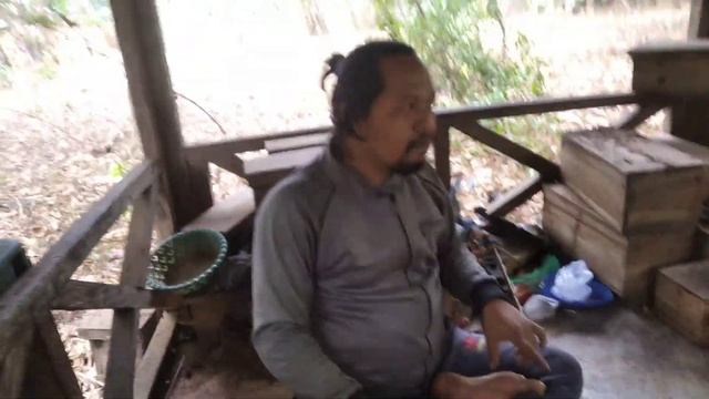 merguru pada suhu Bulungan mengenai klanceng #madu #jepara #klanceng #budidaya #asli смотреть онлайн