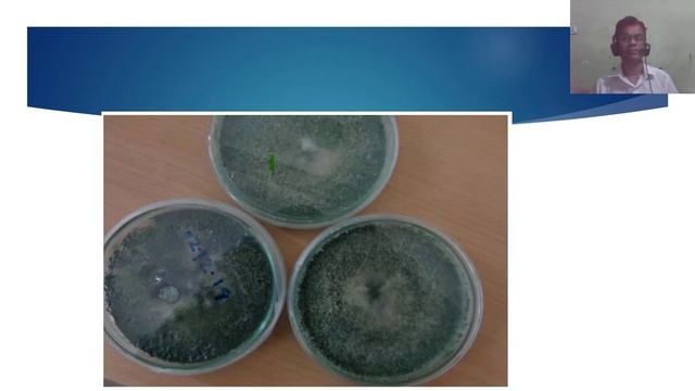 ট্রাইকোডার্মা উৎপাদন পদ্ধতি ( Production Technology Of Trichoderma)