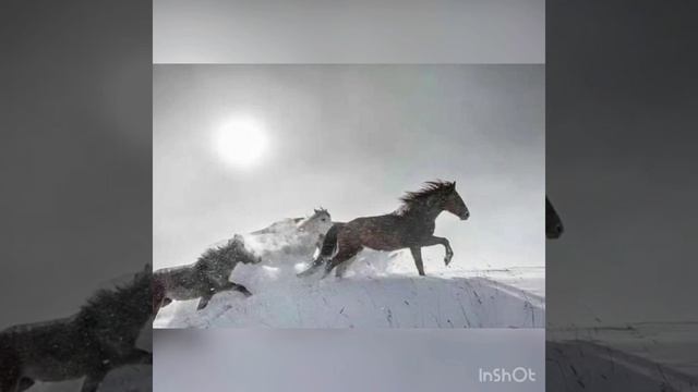 When You Look for A Background Photo for Your Wallpaper and One Looks Particularly Dramatic смотреть онлайн