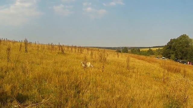Лакки подача с суши смотреть онлайн