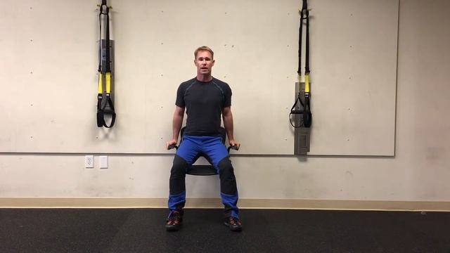 Seated Dips - Adam's 2 Minute Series смотреть онлайн