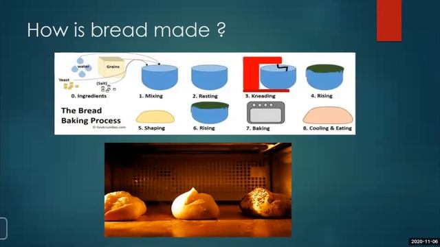 Useful And Harmful Microbes//Part 2//Science By Vaijyanti Madam