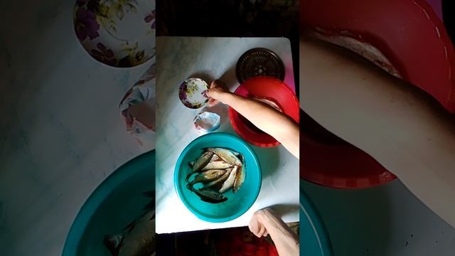 9 июня 2024 г.за Солка рыбы платвы для сушения смотреть онлайн