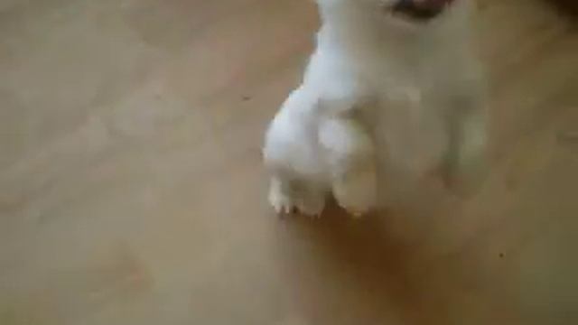 Изображение 67358 смотреть онлайн