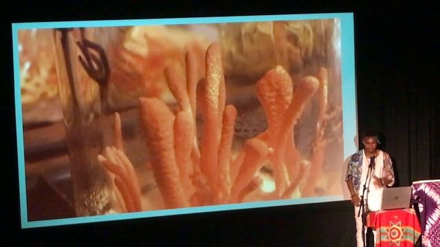 MycoSymbiotics Cordyceps Mushroom Cultivation Growing DIY Fungi Farm Pt 2 Mycology At Its Finest! Y