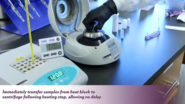 IMMY Aspergillus GM Lateral Flow Assay Procedure Tips смотреть онлайн