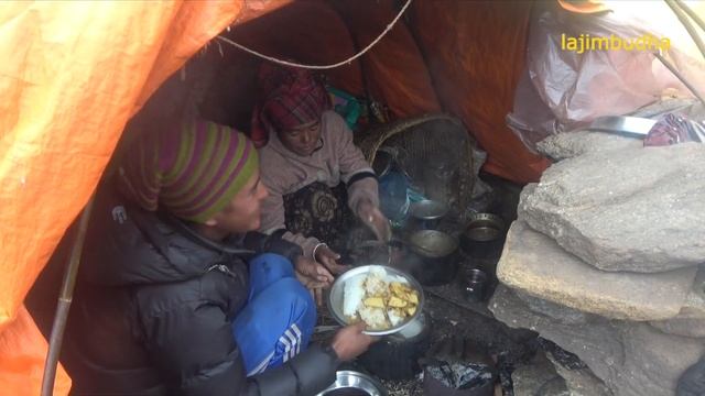 Yarsagumba Hunters || Episode-12 || Cordyceps || Caterpillar Fungus || Nepal || Lajimbudha ||