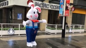 Надувной костюм заяц в комбинезоне