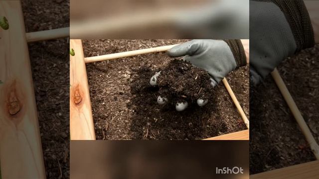 Компост дайындау
