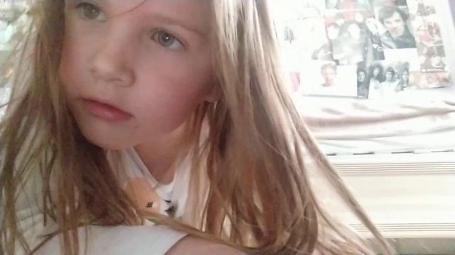 что видит кошка когда увидела камеру: смотреть онлайн