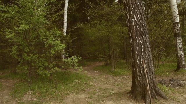 Андрей Воронов и Семья - 🍄 ШАМАНСКАЯ смотреть онлайн