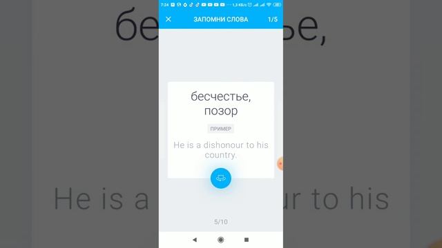 Новые слова к тексту Чайка в приложении Ева смотреть онлайн