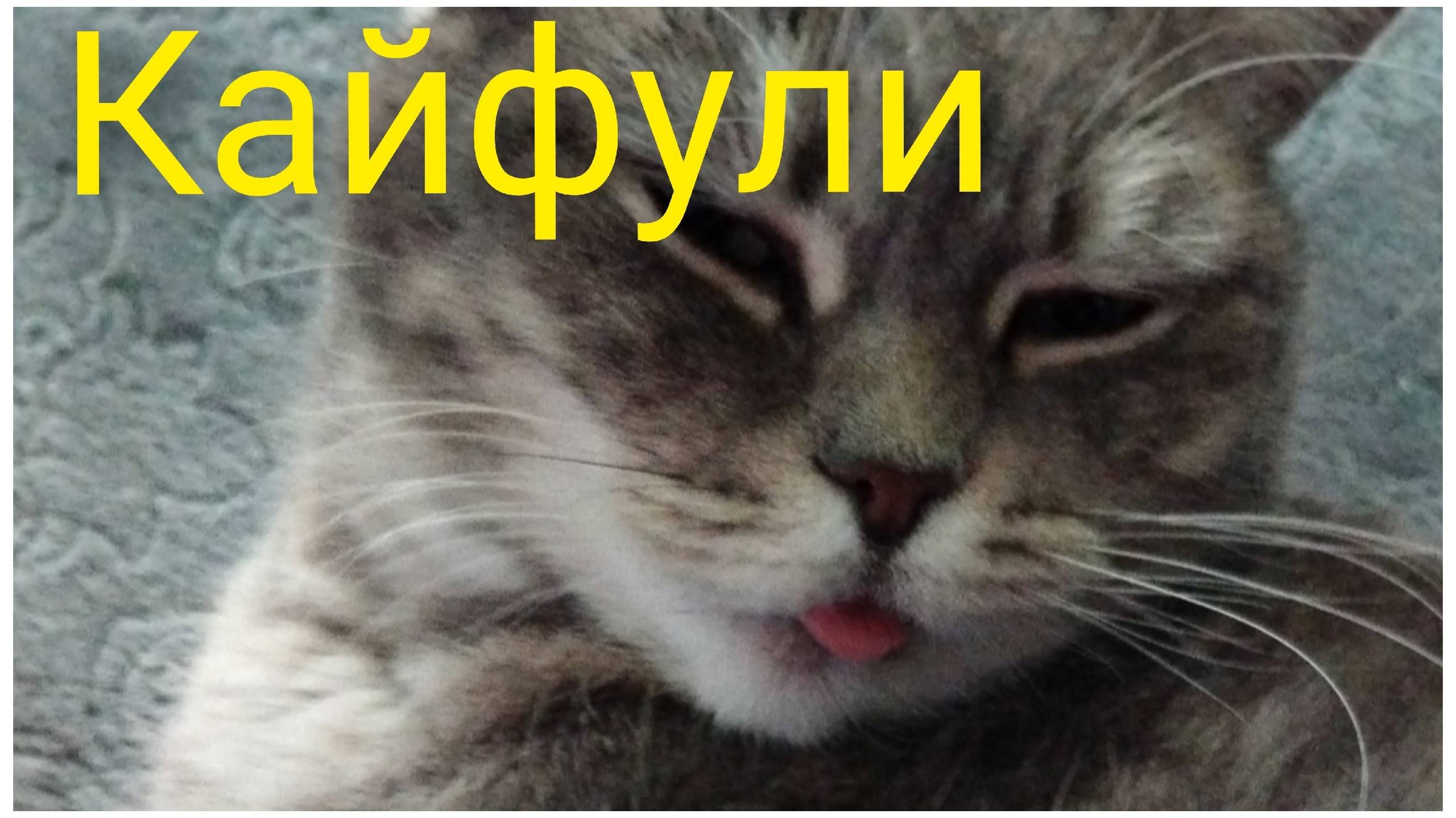 Что нам снег, что нам зной/Как лунь седой/Стройка продолжается. смотреть онлайн