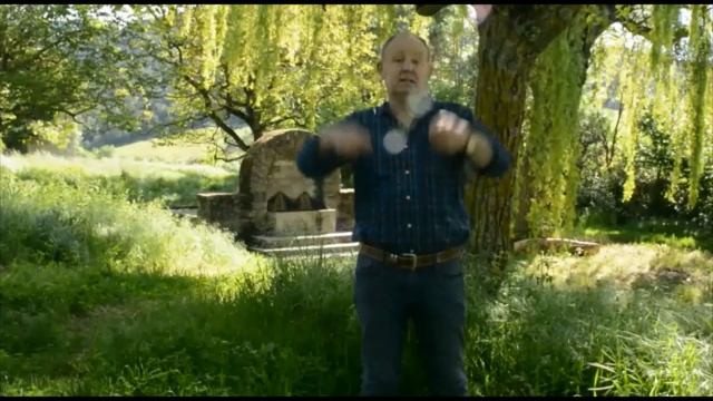 Píldoras De Asesoramiento. Hoy Hablamos De Septoria En Trigo