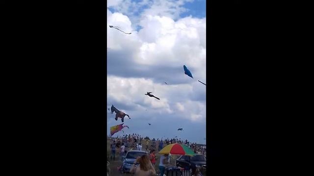 Парад воздушных змеев! смотреть онлайн