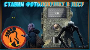Прогулка по лесу, ставим фотоловушку.