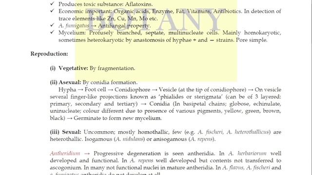 Lecture 13 | Aspergillus Life cycle | Fungi (Mycology) Lecture + Notes смотреть онлайн
