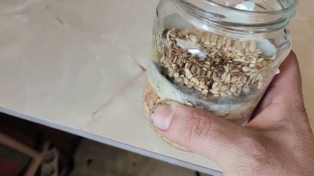 Отрицательный опыт выращивания Триходермы.