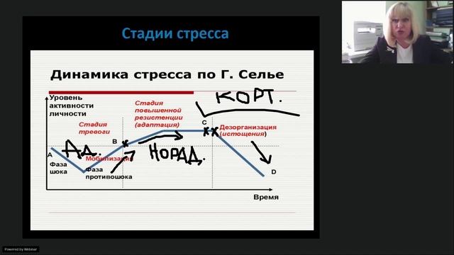 КАК СНИЗИТЬ УРОВЕНЬ КОРТИЗОЛА ЗА 2 МИНУТЫ