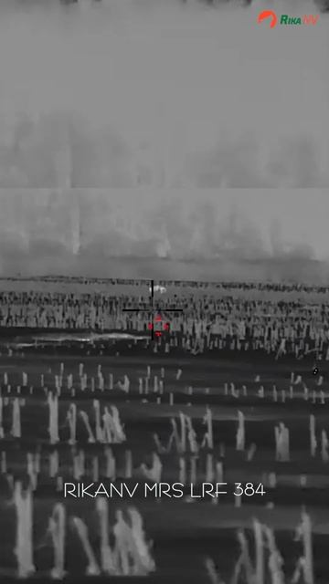 Трофейный секач! Охота на кабана в Белоруси. Охотничьи байки от Ильи Зуенка #охота #кабан #беларусь смотреть онлайн