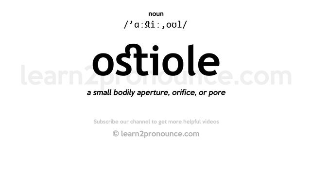 Pronunciation of Ostiole | Definition of Ostiole смотреть онлайн