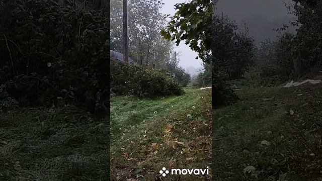 Гусиная жизнь. смотреть онлайн