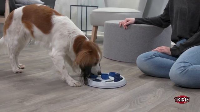 Іграшка для собак Trixie Dog Activity Flip & Fun стратегія, інтерактивна, розвиваюча, пластик, 23 с смотреть онлайн