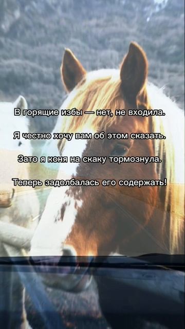 #стихи #поэзия #юмор