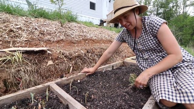 She was Determined to Plant 250 Onions on her Terraced Hill смотреть онлайн