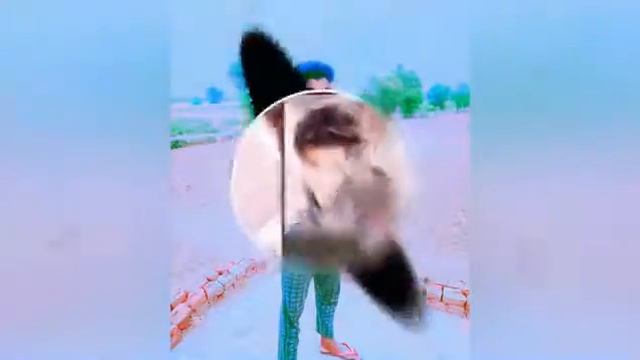 Bs.thakur.arhera смотреть онлайн