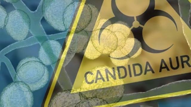 Why Candida Auris is Soo Alarming Just After Covid 19||HERE IS THE REASON смотреть онлайн