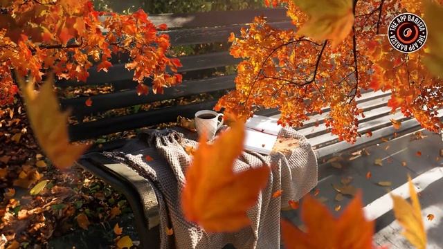 Calm Coffee Shop Music For Fall | Relaxing Coffee Jazz With Fall Season Ambiance смотреть онлайн