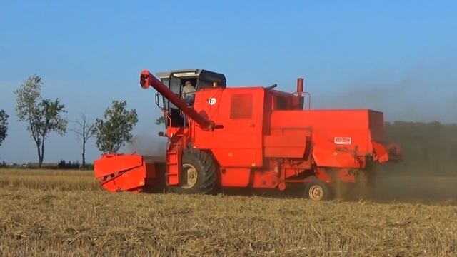 Żniwa 2019 Bizon / Zetor смотреть онлайн