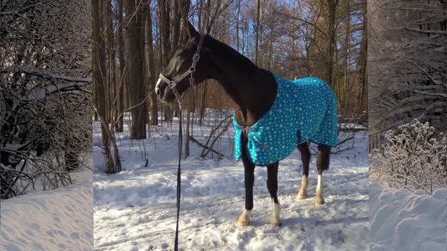 Гламур. Солнечная весна. смотреть онлайн