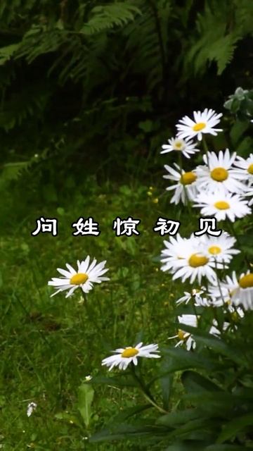 中文古典诗词：《喜见外弟又言别》 [唐] 李益 смотреть онлайн