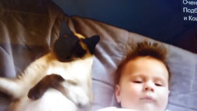 Вопрос: как помочь частоболеющему ребенку? смотреть онлайн