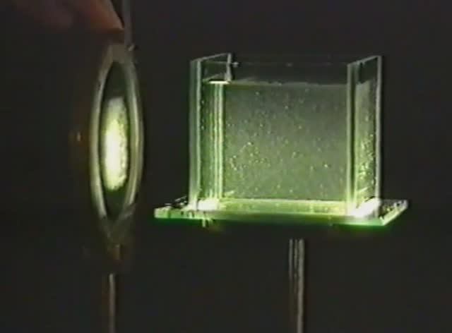 Физика. Опыты. Физическая оптика. Диаграмма направленности рассеянного излучения смотреть онлайн