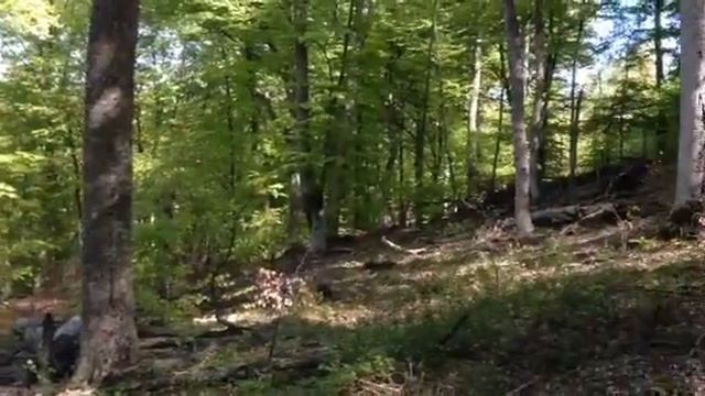 Перед спуском на Ай-Йори смотреть онлайн