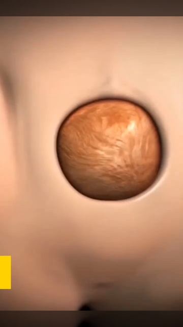 how to deliver female a baby 🍼 #short #viral #youtubeshort смотреть онлайн