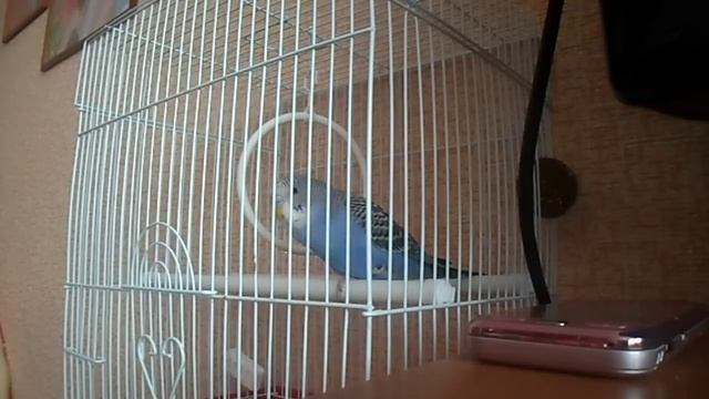 Ричи 3,5 месяца, учимся говорить))) смотреть онлайн