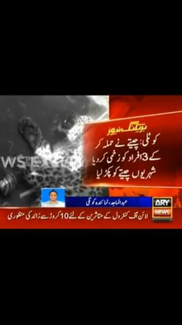 kotli tatapani Many peoples injured in leopard attack смотреть онлайн